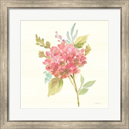 Framed Petals and Blossoms VII Print