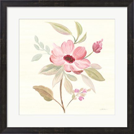 Framed Petals and Blossoms VI Print