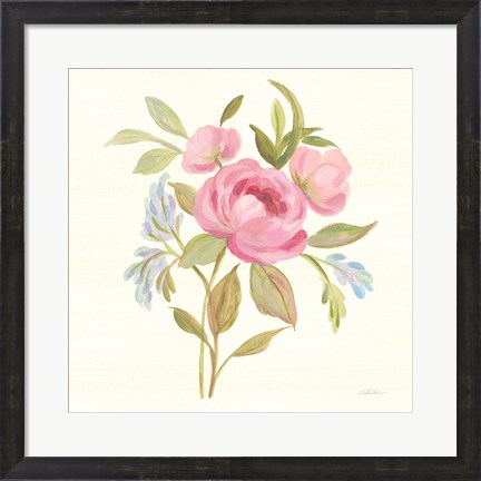 Framed Petals and Blossoms IV Print