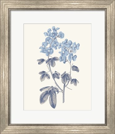 Framed Blue Botanical III Print