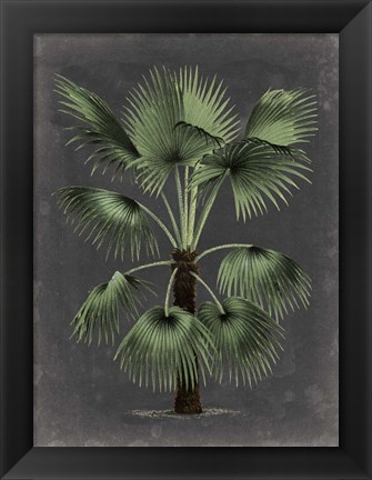 Framed Dramatic Palm II Print
