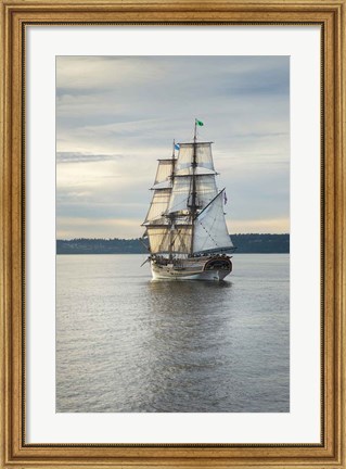 Framed Lady Washington I Print