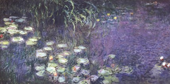 Bulk Water Lily Pond Prints