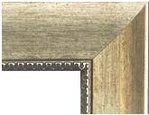 Classic Champagne Silver with Ornate Inner Edge Front View