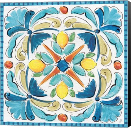 Framed Mediterranean Breeze XVII Print