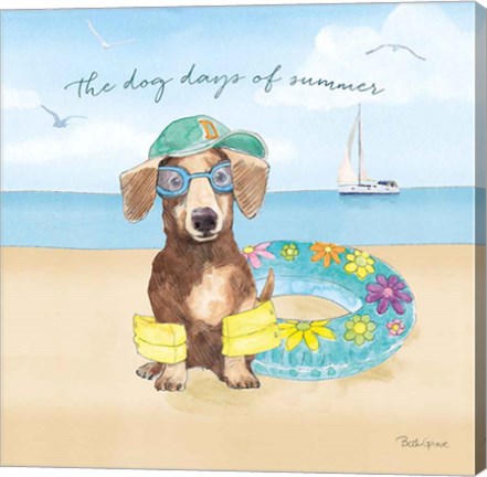 Framed Summer Paws III Print