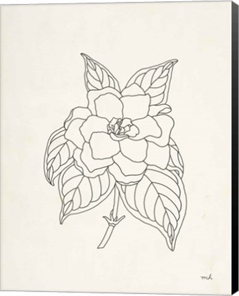 Framed Gardenia Line Drawing Print