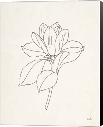 Framed Magnolia Line Drawing Print
