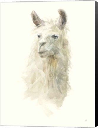 Framed Classic Llamas II Print