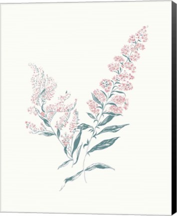 Framed Flowers on White I Contemporary Bright Print