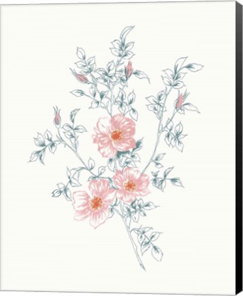 Framed Flowers on White II Contemporary Bright Print