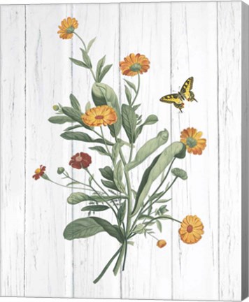 Framed Botanical Bouquet on Wood IV Print