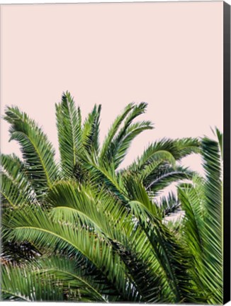 Framed Tropical Leaves on Blush II Print