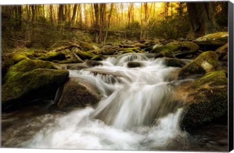 Framed Roaring Fork Print