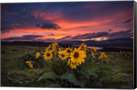 Framed Sunset at the Gorge Print