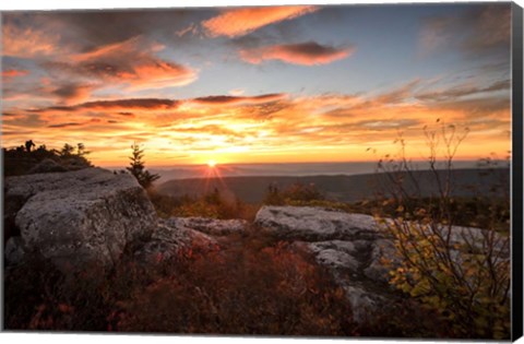 Framed Sunrise in Fall I Print