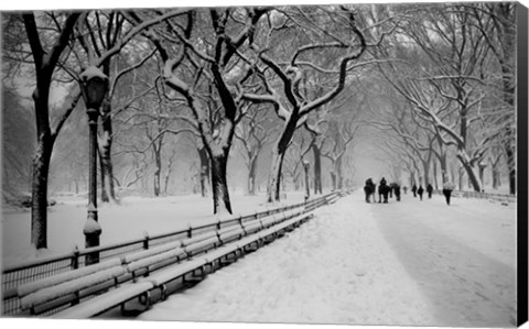 Framed Central Park Snow Print