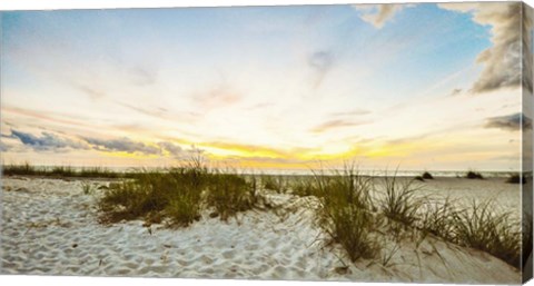 Framed Sunset Beach Print