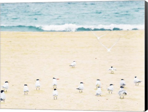 Framed Relaxed Seagulls Print