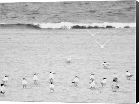 Framed Coastline Flock Print