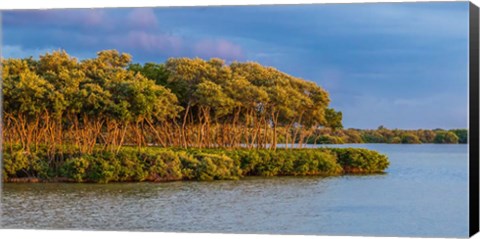 Framed Sundown by the Lake Print