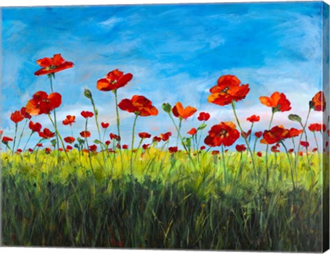 Framed Wild Poppies Print