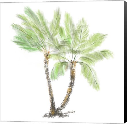 Framed Palm Tree on White I Print