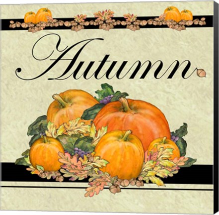 Framed Autumn Pumpkins Print