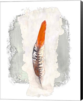 Framed Simple Feather II Print