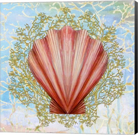 Framed Shell Medley I Print