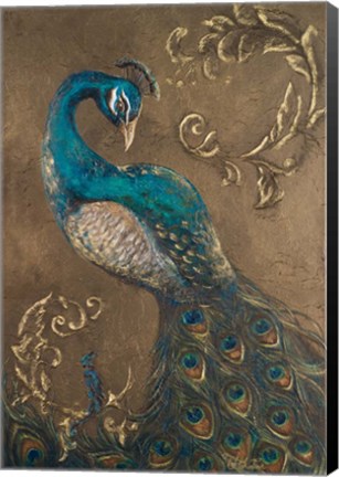 Framed Pershing Peacock I Print