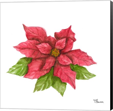 Framed Poinsettia I Print
