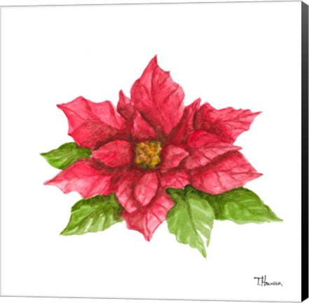 Framed Poinsettia II Print