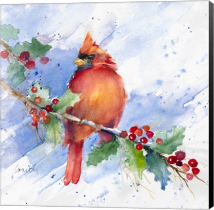 Framed Cardinal on Holly Branch Print