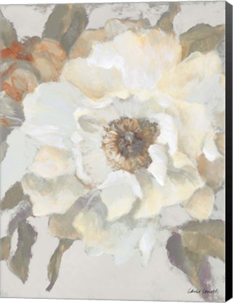 Framed White Peony and Bloom Print