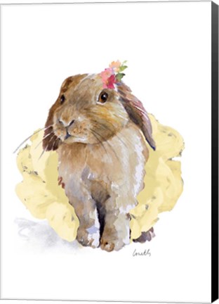 Framed Ballet Bunny II Print