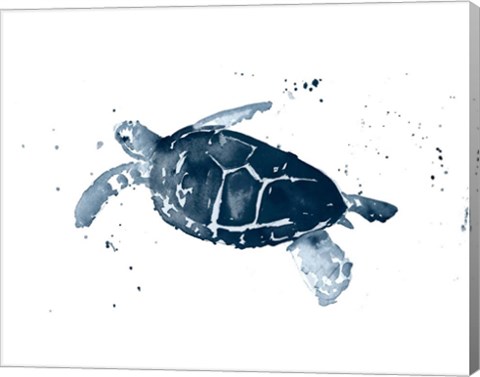 Framed Navy Ink Turtle I Print