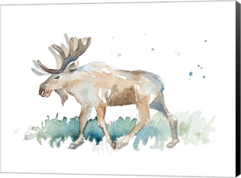 Framed Watercolor Moose Print