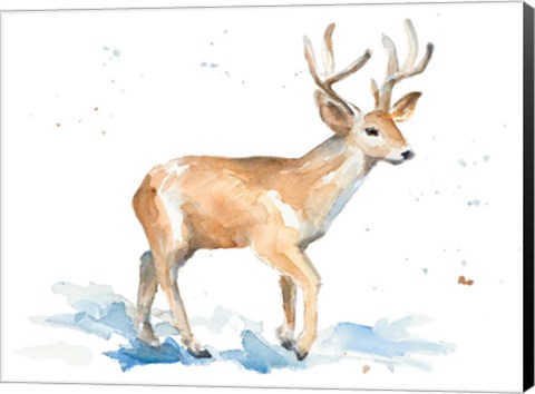 Framed Watercolor Deer Print