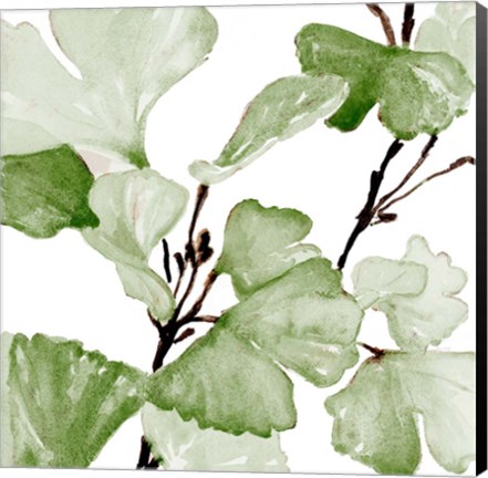 Framed Mint Ginko Stems II Print