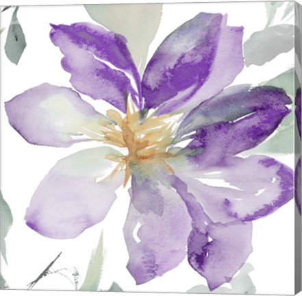 Framed Clematis in Purple Shades II Print