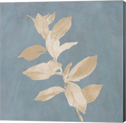 Framed Tan Leaf on Blue Square I Print