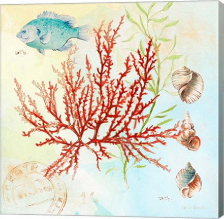 Framed Deep Sea Coral I Print