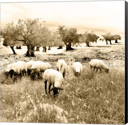 Framed Out In The Fields Print