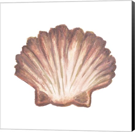 Framed Coastal Icon Coral VI Print