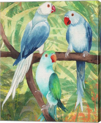 Framed Tropical Birds I Print