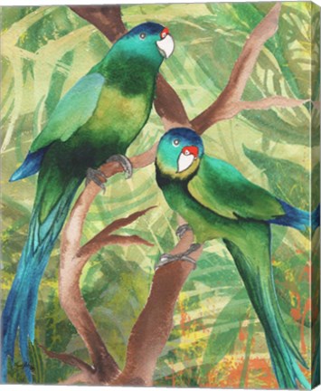 Framed Tropical Birds II Print