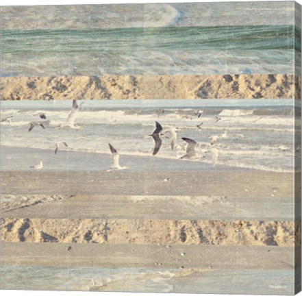 Framed Flying Beach Birds II Print