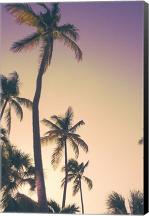 Framed Evening Palms Print