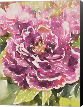 Framed Purple Blossoms Print
